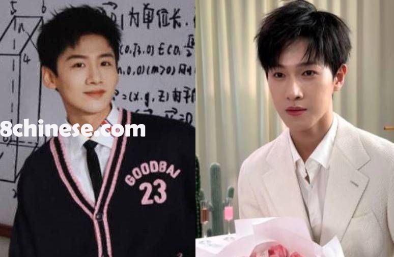 「搜狐」统计「2025上半年剧男主微博涨粉量TOP10」。左为白敬亭、右为李昀锐。（取材自微博）