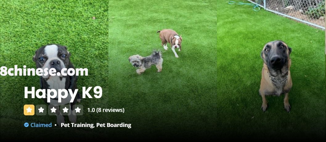 Happy K9 Academy的Yelp评级降为一星。（取自Yelp）