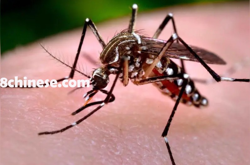 纽约市于今日(7月1日)起至7月3日在四大区空中喷洒灭蚊剂。(CDC官网)