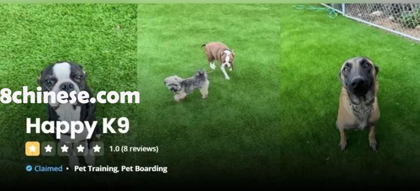 虐狗案发后，Happy K9 Academy的Yelp评级降为一星。（取自Yelp）